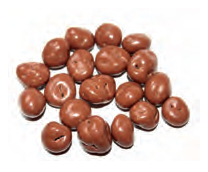 CHOCO/RUSSIN - 2,5 kg /