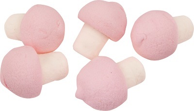 SKUMMA SVAMPAR - 0,9 kg /
