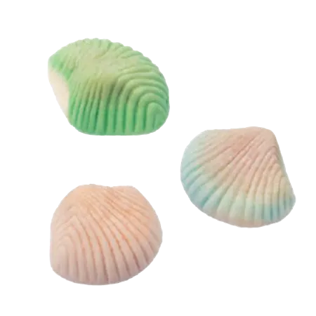 FOAM SHELLS /
