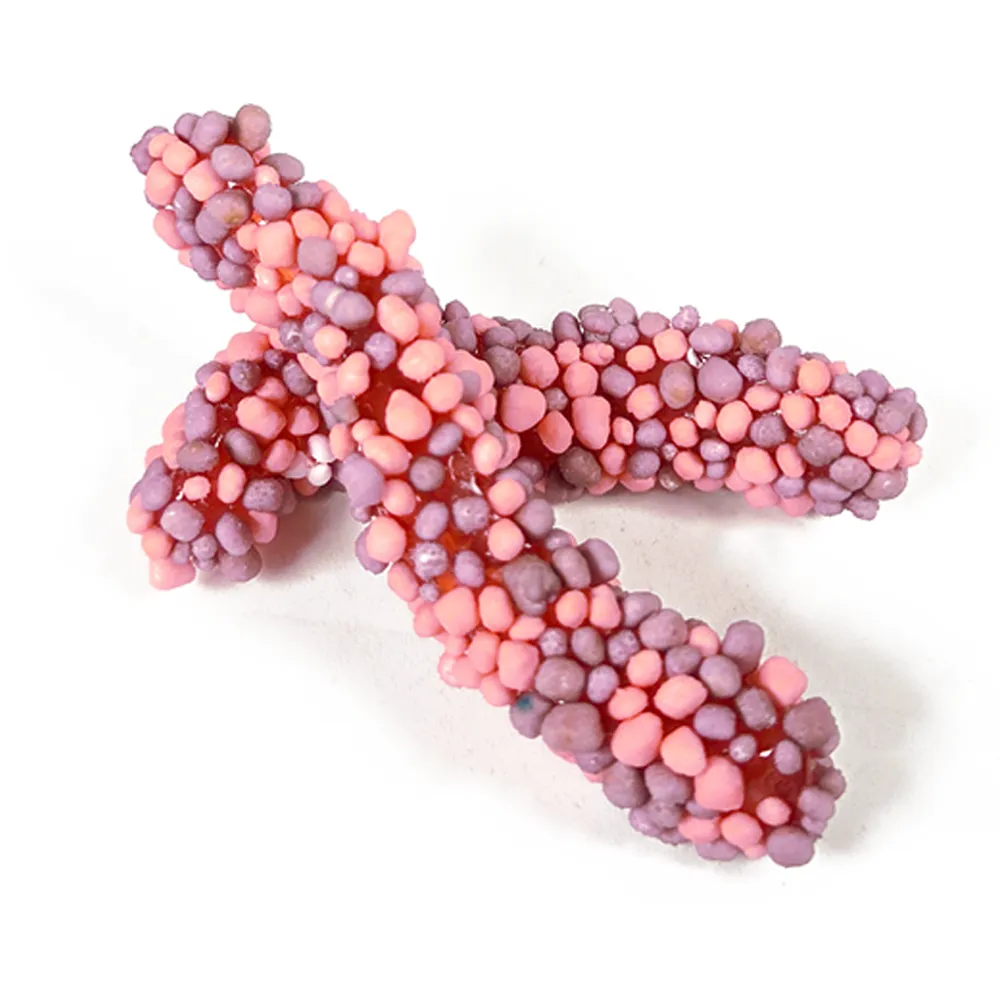Jellioo Geeks Worms Purple&Pink /