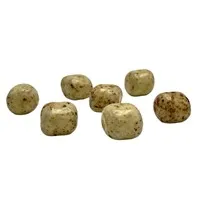 Lakki Caramel /
