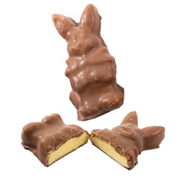 AA* Chokladskumhare /