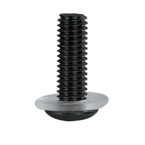 Oxford Screen Screw Svart