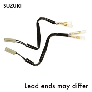 Oxford Indicator Leads Suzuki