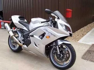 Crash Protector   Triumph Daytona 600 / 650