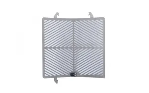 Stainless Steel Radiator Guard Triumph Street Triple 765 Rs/R/S 17 22